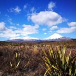 Tongariro Discovery Walk - FAQs
