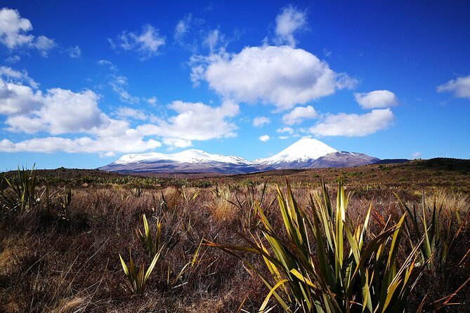 Tongariro Discovery Walk - FAQs