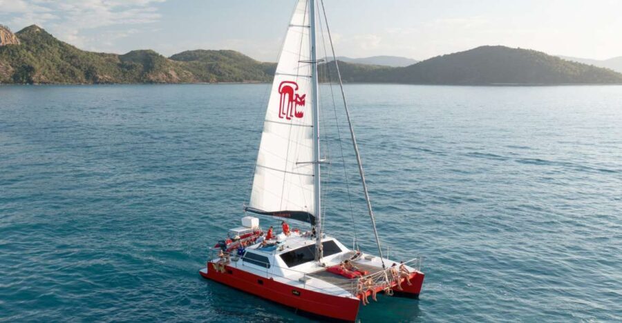Tongarra: All-Inclusive Day Sail - The Value of the Experience