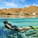 Top Day Tour To Red Sea El Ain Sokhna From Cairo - Why This Tour Offers Good Value