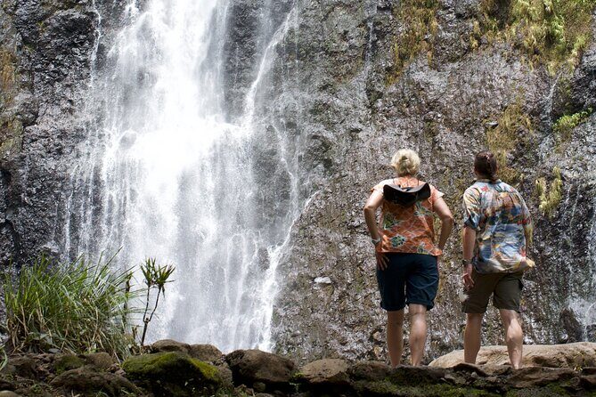 Tour Tahiti in Private - Final Thoughts: Is It Worth It?