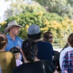 Tour, Taste & Camel Encounter - An In-Depth Look at the Experience