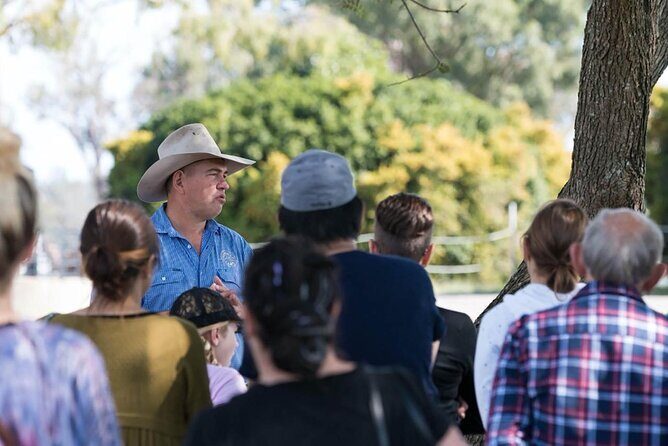 Tour, Taste & Camel Encounter - An In-Depth Look at the Experience