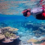 Townsville: Great Barrier Reef and MOUA Snorkeling Day Tour - Who Would Love This Tour?