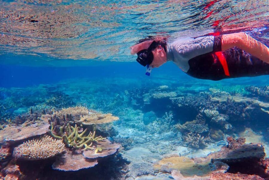 Townsville: Great Barrier Reef and MOUA Snorkeling Day Tour - Who Would Love This Tour?