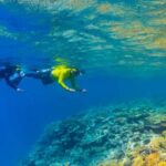 Townsville & Magnetic Island: MOUA & Great Barrier Reef Trip - How the Price Reflects the Experience