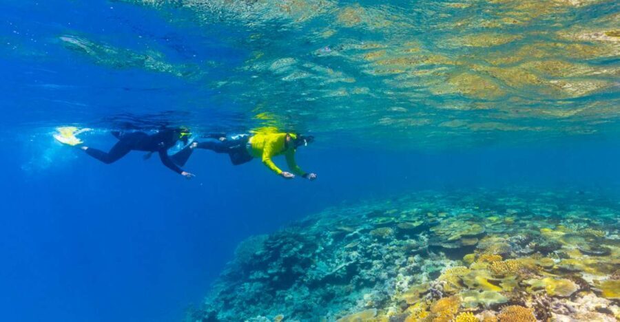 Townsville & Magnetic Island: MOUA & Great Barrier Reef Trip - How the Price Reflects the Experience