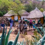 Traditional Cultural Viliage and Lion and Safari Park Combo - Who Would Love This Tour?
