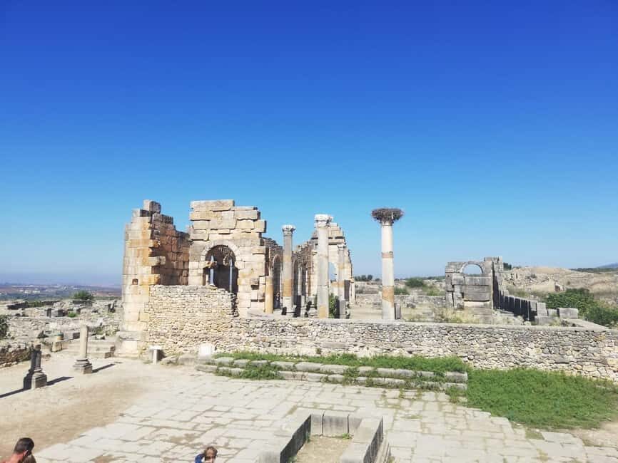 Transfer From Fes to Tangier via Volubilis and Chefchaouen - A Detailed Breakdown of the Experience
