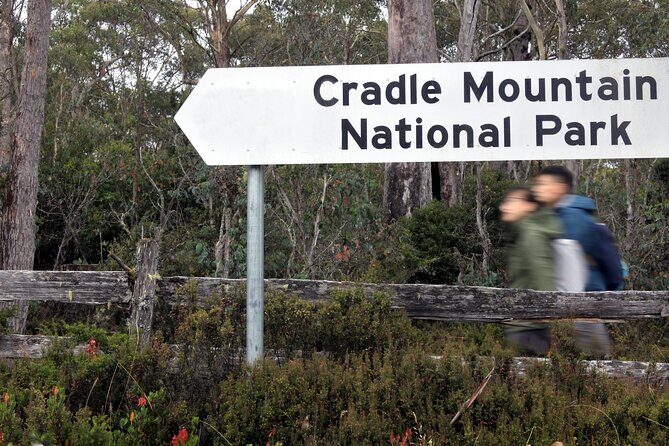 Transfer from Launceston to Cradle Mountain - The Journey: What to Expect