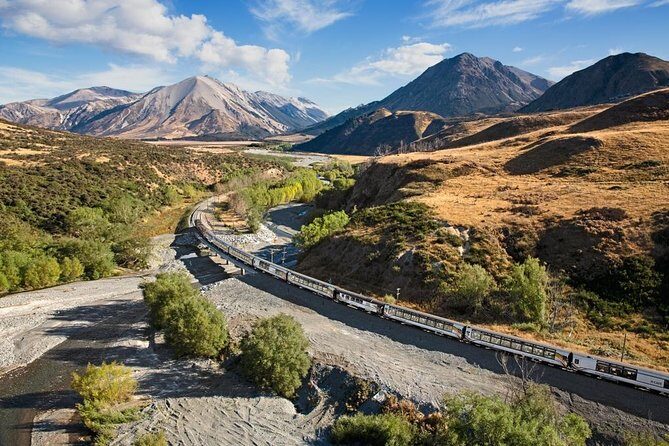 TranzAlpine Train, Arthur's Pass and Castle Hill Day Trip - Authentic Insights from Reviewers