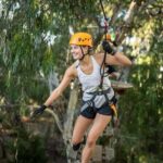 Tree Top Activity for Thrill Seekers and Adventurers in Adelaide - The Itinerary: Whats Included in Your Two Hours