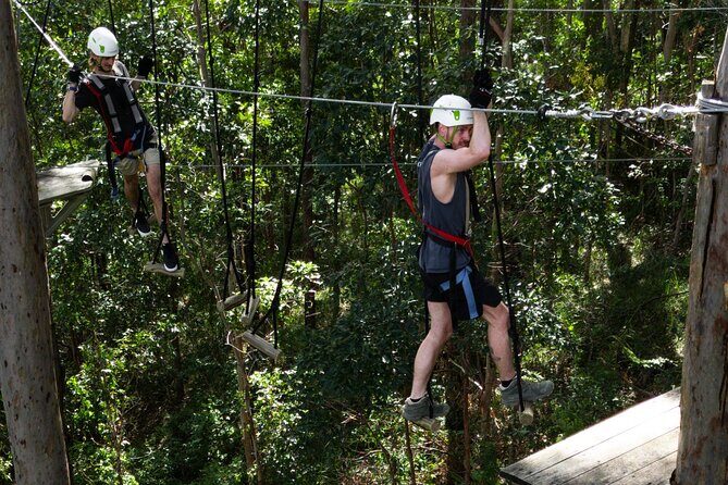 Treetop Challenge Adrenaline Pass - What to Expect from Your Day
