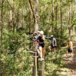 TreeTop Challenge Currumbin Wildlife Park - Who Should Consider This Experience?