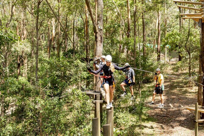 TreeTop Challenge Currumbin Wildlife Park - Who Should Consider This Experience?