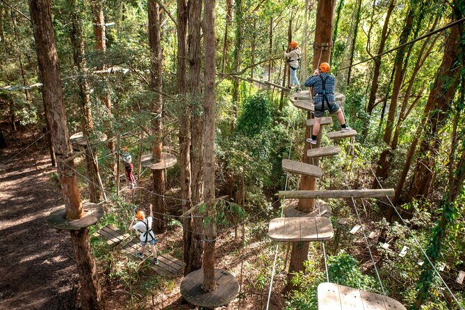 Treetops Adventure Newcastle with Tree Ropes Course - FAQ