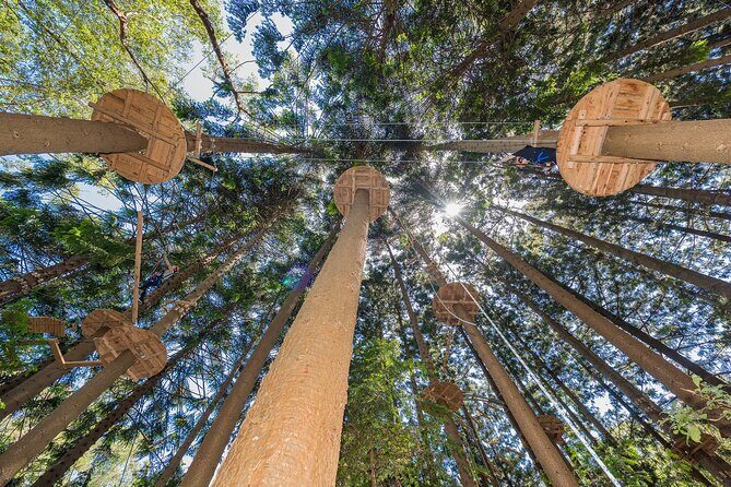 Treetops Adventure The Hills - Tree Ropes Course - Final Thoughts