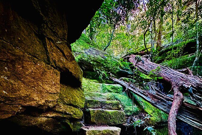 Trek Shoot and Soothe Hiking Tour from Springwood Blue Mountains - Who Should Consider This Tour?