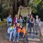 Trek Top Africa Mountain: Kilimanjaro Marangu Route 5 Day - What Makes This Tour Stand Out