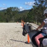 Trevena Glen 1hr Animal Tour - The Itinerary: What to Expect in Detail