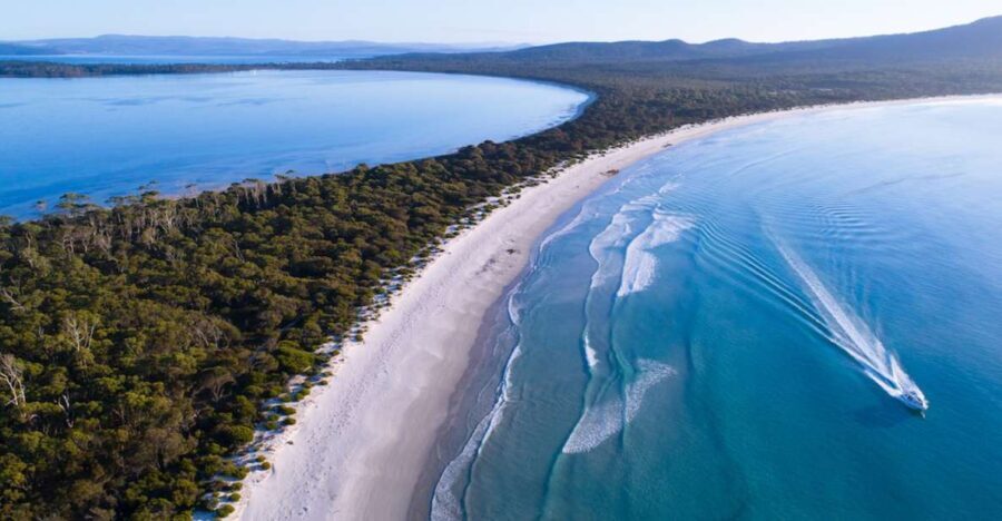 Triabunna: Maria Island and Ile Des Phoques Day Trip by Boat - The Value of This Tour