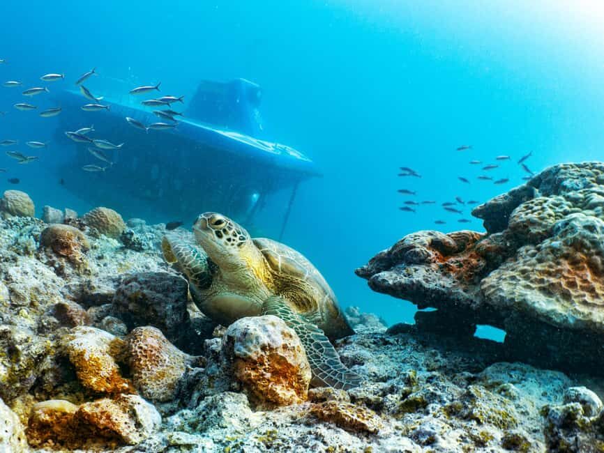 Triolet: Submarine Dive with Hotel Transfers - The Experience in Detail: Why It Works