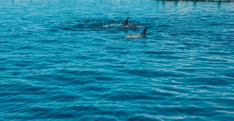 Trou D'Eau Douce: 5 island tour Mauritius with lunch/drinks - A Deep Dive into the 5 Island Experience