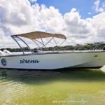 Trou d'Eau Douce: Waterfall and Ile aux Cerfs Day Trip - An Introduction to the Tour Setting