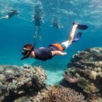 Try Dive for first time in fujairah - The Practical Details