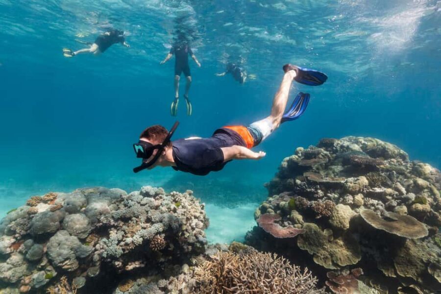 Try Dive for first time in fujairah - The Practical Details