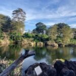Tsavo East and Tsavo West Sanctuary Safari - What Makes This Safari Stand Out?
