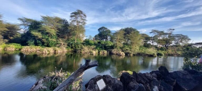 Tsavo East and Tsavo West Sanctuary Safari - What Makes This Safari Stand Out?