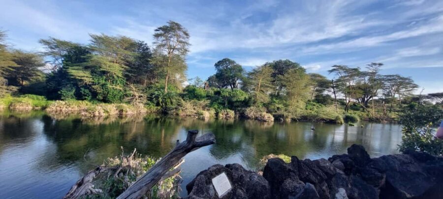 Tsavo East and Tsavo West Sanctuary Safari - What Makes This Safari Stand Out?