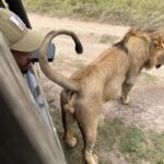 Tsavo East National Park: 3-Day Safari with Accommodation - What Makes This Tour Stand Out?