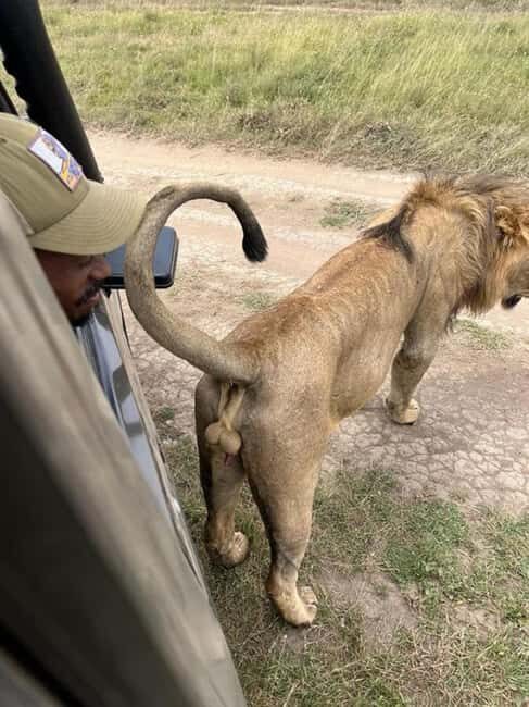 Tsavo East National Park: 3-Day Safari with Accommodation - What Makes This Tour Stand Out?