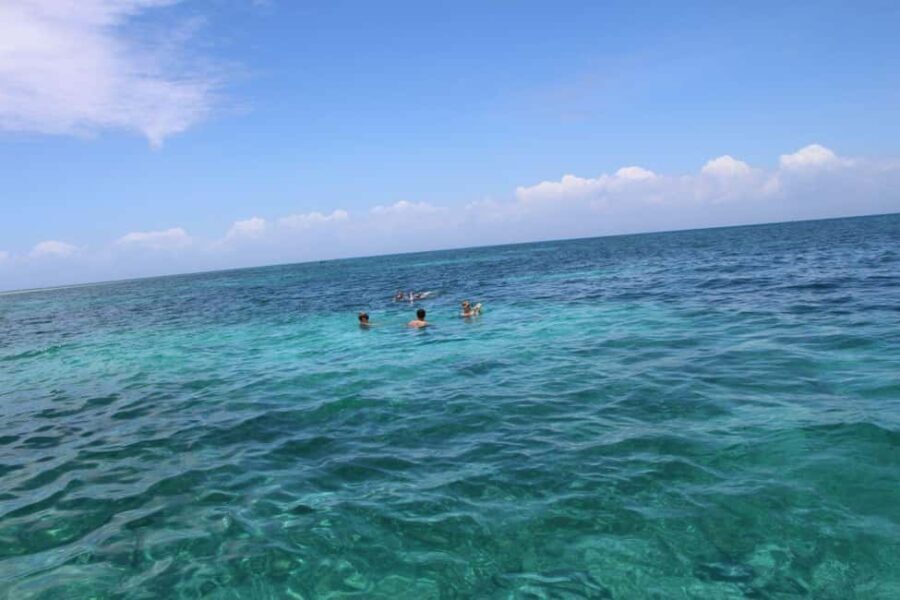 Tumbatu island snorkling tour : from Kendwa & Nungwi - Real Traveler Insights