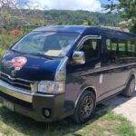 Turtle Encounter with Yumi Tours - Authentic Reviews: What Tour Participants Say