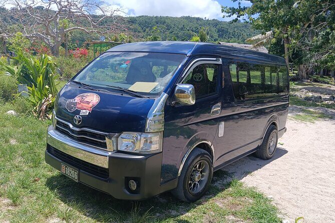 Turtle Encounter with Yumi Tours - Authentic Reviews: What Tour Participants Say