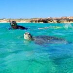 Turtle Tour - Ningaloo Reef Half Day Sea Kayak and Snorkel Tour - Equipment and Comfort: What’s Included