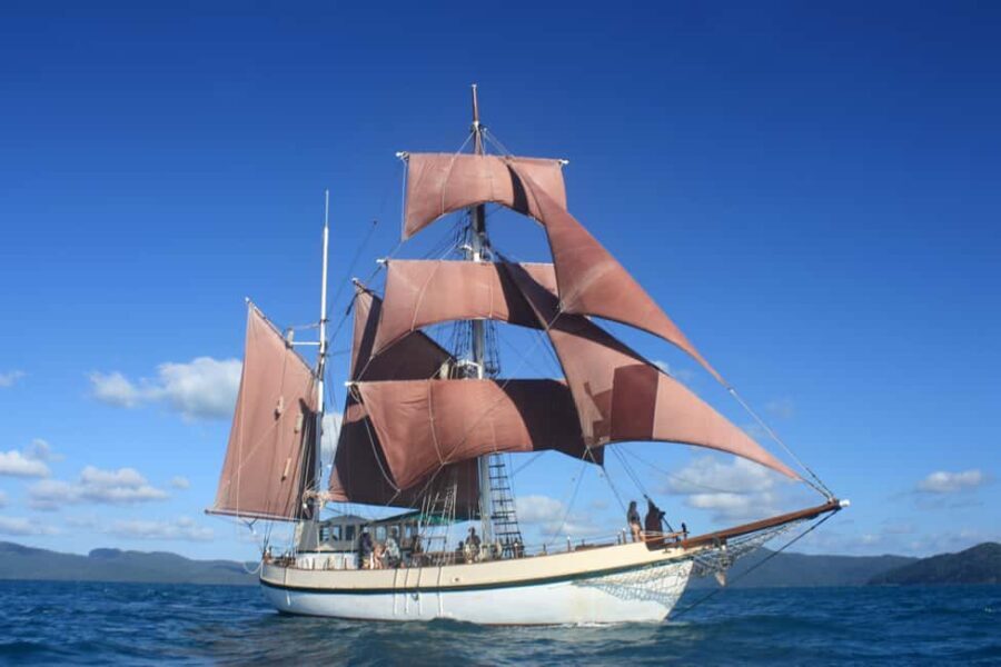 Twilight Dinner Cruise on Coral Trekker - Twilight Dinner Cruise on Coral Trekker: A Charming Harbour Experience