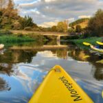 Twilight Glowworm Kayak Tour  Lake Karapiro - The Itinerary Breakdown