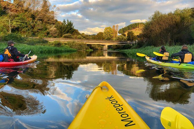 Twilight Glowworm Kayak Tour  Lake Karapiro - The Itinerary Breakdown