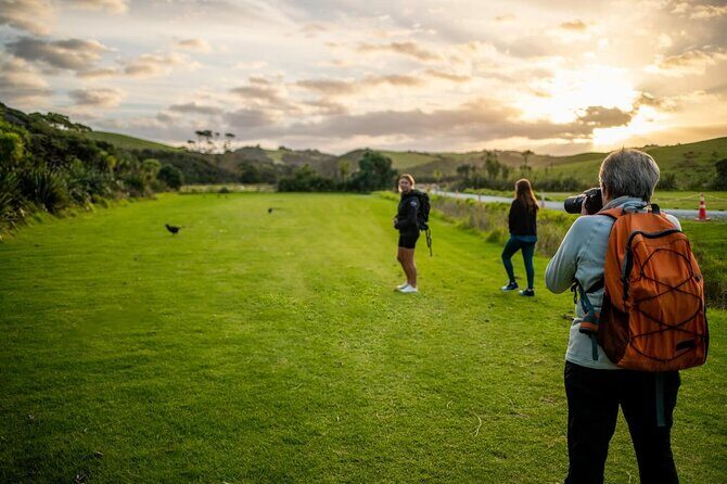 Twilight Wild Kiwi Bird Encounter Private Tour - Transportation and Logistics