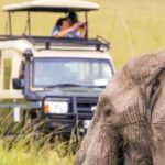 Uganda: 10-Day Safari from Entebbe to Murchison Falls - The Sum Up