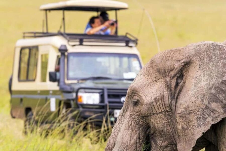 Uganda: 10-Day Safari from Entebbe to Murchison Falls - The Sum Up