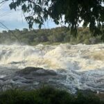 Uganda: 2-Day Murchison Falls National Park Safari and Big 5 - Transportation and Logistics