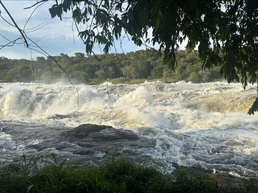 Uganda: 2-Day Murchison Falls National Park Safari and Big 5 - Transportation and Logistics
