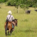 Uganda: 3-Day Lake Mburo National Park Adventure Tour - Who Should Consider This Tour?