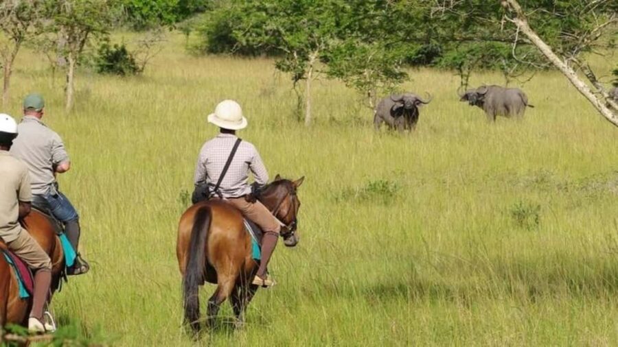 Uganda: 3-Day Lake Mburo National Park Adventure Tour - Who Should Consider This Tour?