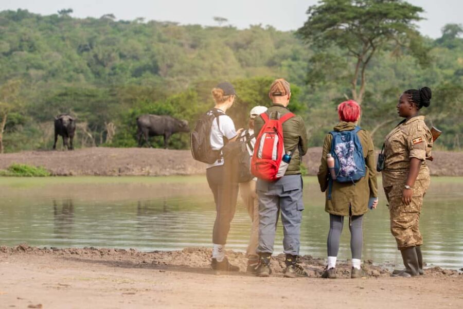 Uganda: 4-Day Gorilla Trekking and Wildlife Safari - An In-Depth Look at the 4-Day Uganda Safari